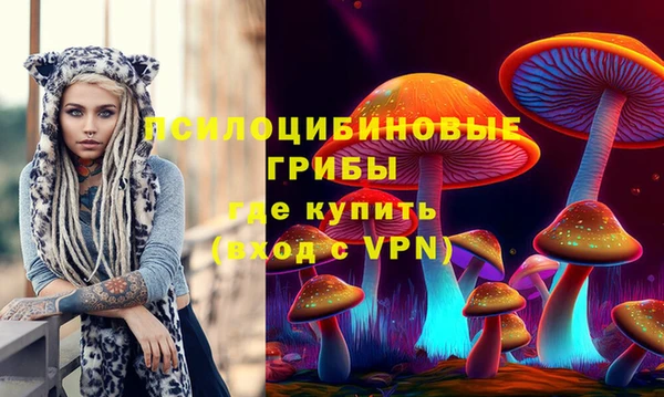 PSILOCYBIN Беломорск