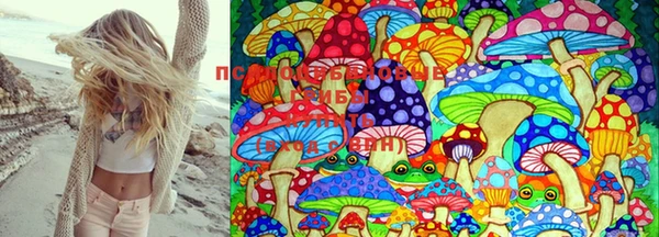 PSILOCYBIN Беломорск